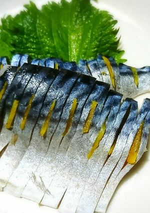 しめ鯖ゆず風味-レシピのメイン写真