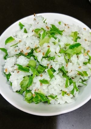 白木の芽（コシアブラ）混ぜご飯-レシピのメイン写真
