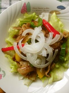 サラダ仕立ての生姜焼き♪-レシピのメイン写真