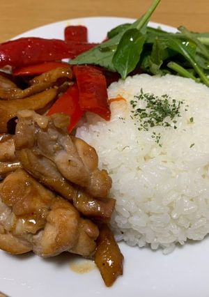 焼肉のたれで！ハニージンジャープレート-レシピのメイン写真