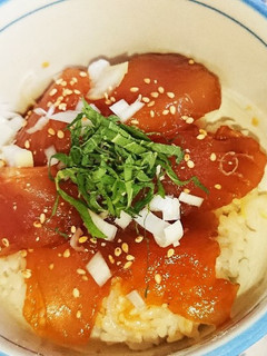 マグロの漬け丼-レシピのメイン写真