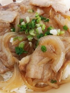 豚丼-レシピのメイン写真