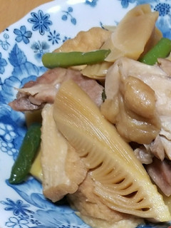 ほっとくだけ【たけのこと鶏肉の煮物】-レシピのメイン写真