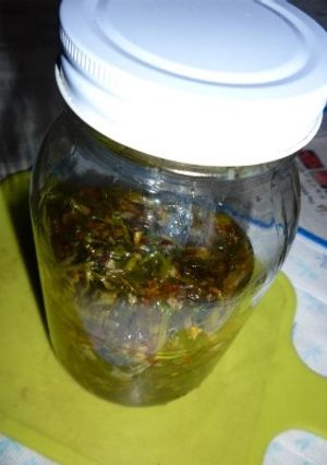 パクチーオイルを作ってみる-レシピのメイン写真