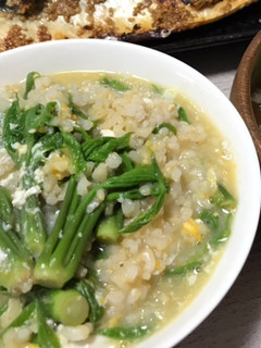 ヘルシー美味しい♡コシアブラの味噌粥-レシピのメイン写真