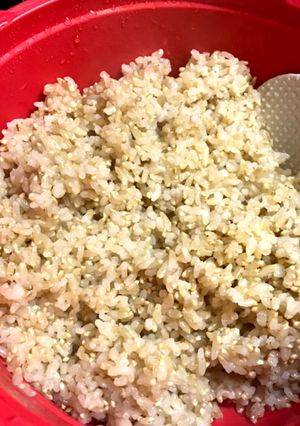 玄米(金のいぶき)の電子レンジ圧力鍋炊飯-レシピのメイン写真