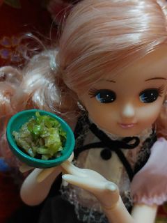 リカちゃんサイズ♡自家製ツナ白菜煮ꕤ*.-レシピのメイン写真