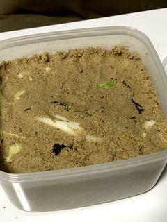 1人分のぬか床-レシピのメイン写真