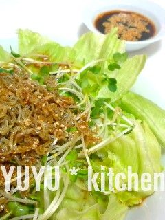 カリカリじゃこの中華風?ピリ辛サラダ♪-レシピのメイン写真