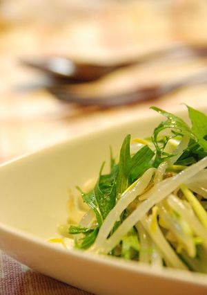 もやしと水菜のナムル-レシピのメイン写真