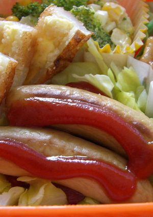 ウィンナーとキャベツで簡単お弁当おかず-レシピのメイン写真