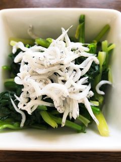ほうれん草としらすのお浸し-レシピのメイン写真