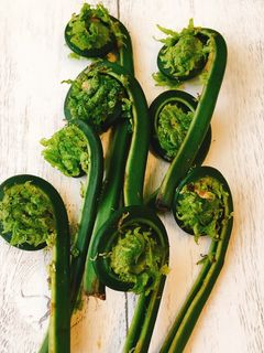 こごみの下処理方法-レシピのメイン写真