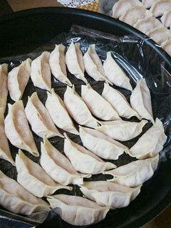 生姜餃子-レシピのメイン写真