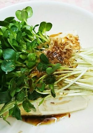 主人が愛して止まない冷奴♥-レシピのメイン写真