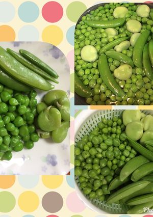 塩茹で豆達-レシピのメイン写真