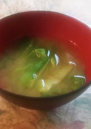 超簡単☆超時短のレタスの味噌汁-レシピのメイン写真