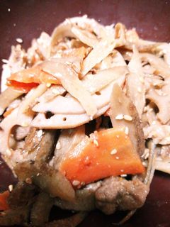 豚肉と根菜のキンピラ-レシピのメイン写真