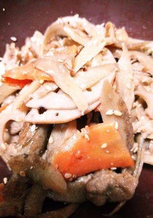 豚肉と根菜のキンピラ-レシピのメイン写真