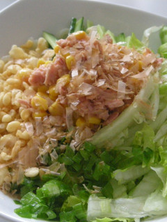 お昼の定番!サラダうどん♪-レシピのメイン写真