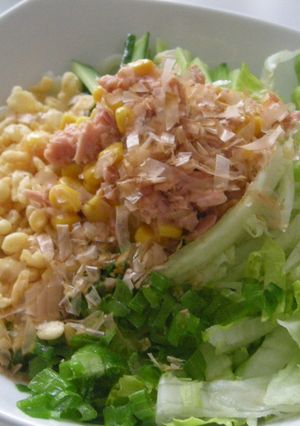 お昼の定番！サラダうどん♪-レシピのメイン写真