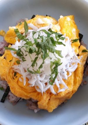 釜揚げしらすとふわふわ卵のっけ丼-レシピのメイン写真