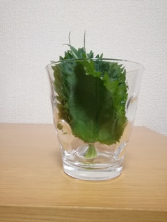 大葉の簡単保存法(最大3週間)-レシピのメイン写真