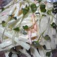 大根マヨサラダ