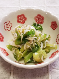 ご飯のお供♪長ネギ・しらすごま油醤油和え-レシピのメイン写真