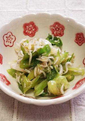 ご飯のお供♪長ネギ・しらすごま油醤油和え-レシピのメイン写真