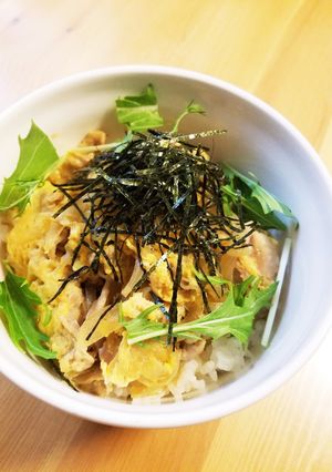 パパっと簡単！他人丼！-レシピのメイン写真
