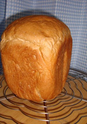 そこは食べとかないと。カロリーメイ〇パン-レシピのメイン写真