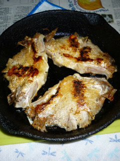 イシスキで真鯛のカマの塩焼き-レシピのメイン写真