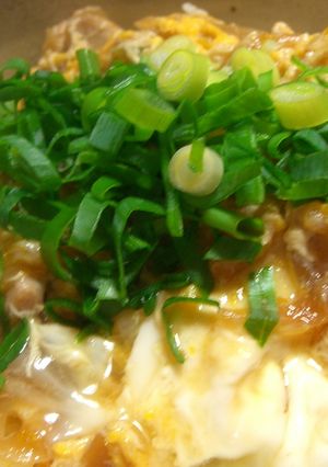 とろんと美味しい親子丼-レシピのメイン写真