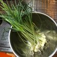 のびる(野蒜)の下処理