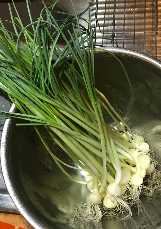 のびる（野蒜）の下処理-レシピのメイン写真