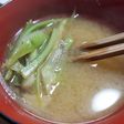 山ウドの茎の味噌汁(^^)