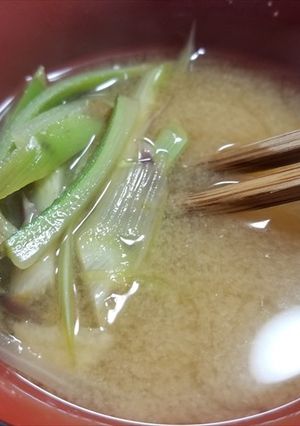 山ウドの茎の味噌汁（＾＾）-レシピのメイン写真