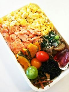 お弁当(5/8)鮭、玉子そぼろ弁当-レシピのメイン写真