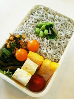 お弁当(5/9)しらす丼弁当-レシピのメイン写真