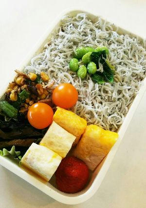 お弁当(5/9)しらす丼弁当-レシピのメイン写真