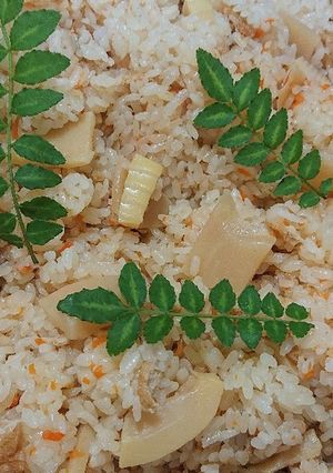 失敗しない♪簡単！本格タケノコご飯-レシピのメイン写真