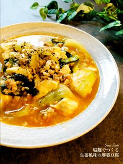 塩麹で作る旨塩マーボー豆腐-レシピのメイン写真