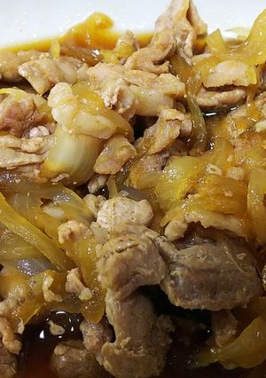 簡単美味・豚肉と玉葱の蕎麦つゆ焼き-レシピのメイン写真