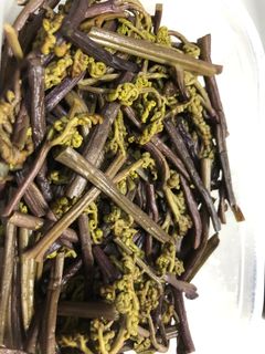 ワラビの漬物からの佃煮-レシピのメイン写真