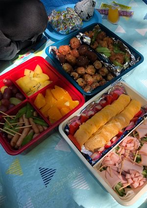 ハイキング弁当-レシピのメイン写真
