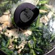 牡蠣とほうれん草の白ワイン蒸し