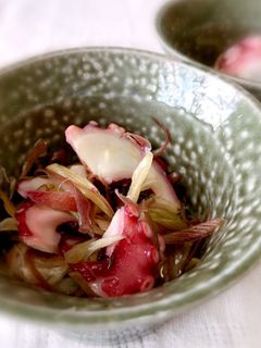 超簡単♪タコとみょうがのすし酢和え-レシピのメイン写真