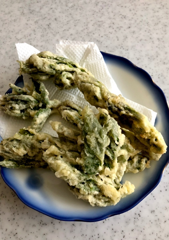 今が旬 ウドの頭の天ぷら-レシピのメイン写真