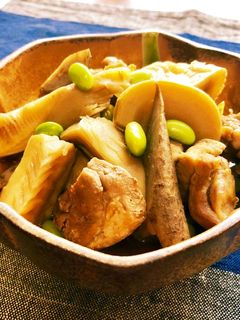*筍と鶏もも肉・ごぼうの煮物*-レシピのメイン写真